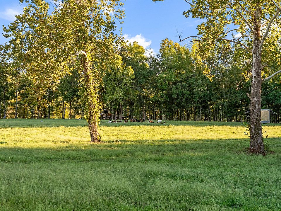 28th image of this home