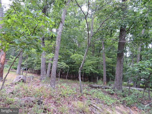 3rd image of LOT 11 Audubon Rd