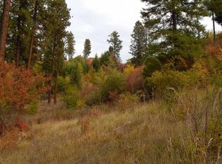 Gold Wagon Dr, Orofino, ID 83544