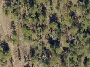 SW Lakeland Heights Ave LOT 30, Dunnellon, FL 34431
