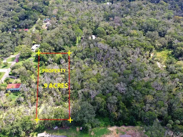 10487 W Palmetto St, Homosassa, FL 34448
