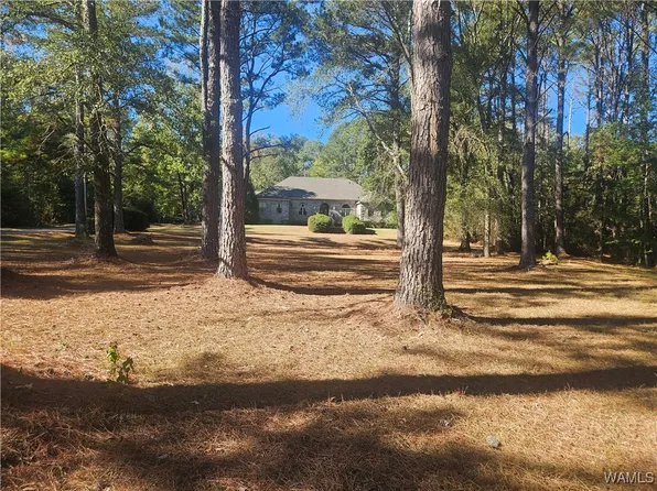 72 Deer Run Dr, Aliceville, AL 35442