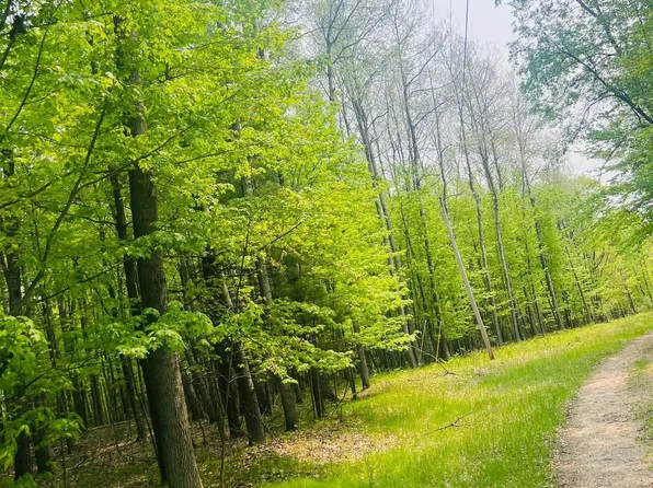 5539 Pine Trl, Lake, MI 48632