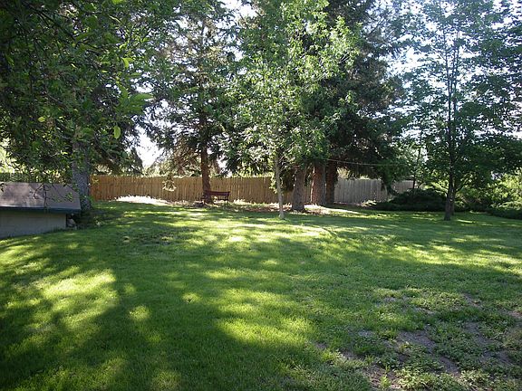 Back yard Trees