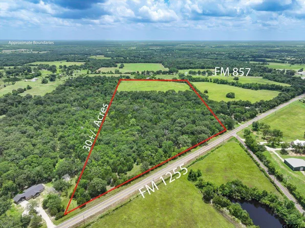 Fm 1255, Grand Saline, TX 75140