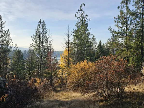 125 Tracker Way, Priest River, ID 83856