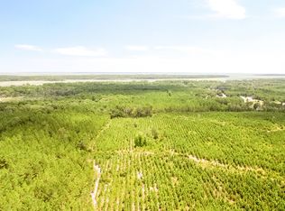 0 Old Shellman Bluff Rd, Darien, GA 31305