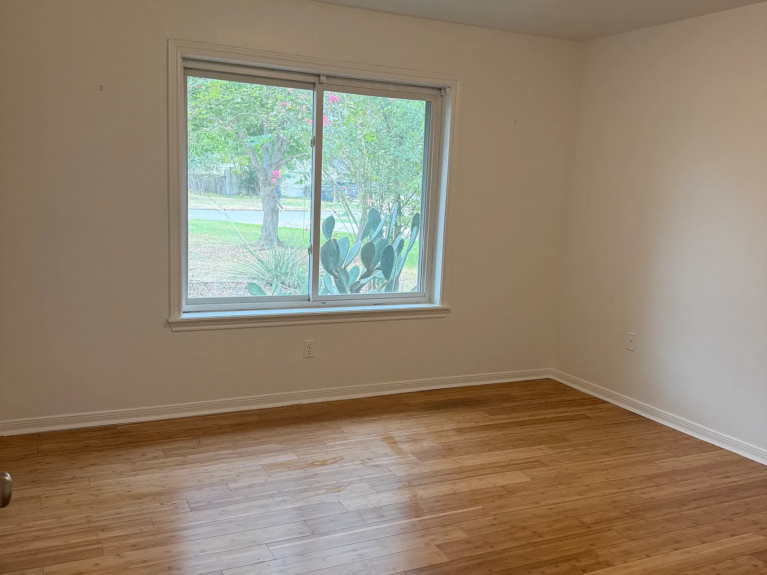 3 bed, 1550 sqft, $1,800 — Photo 2
