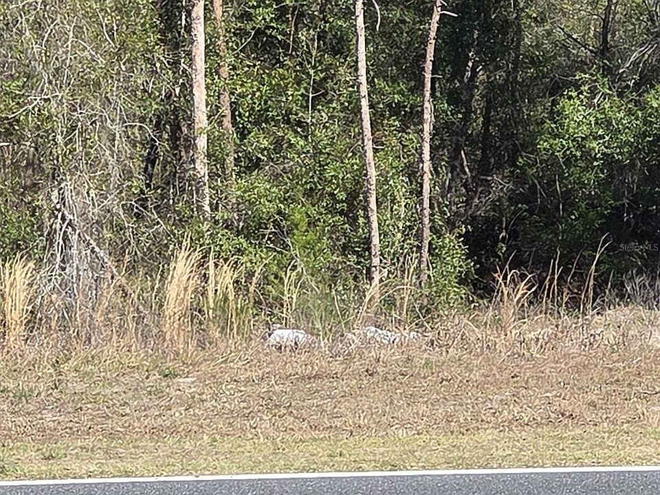 1st image of Bay Rd Lot 5