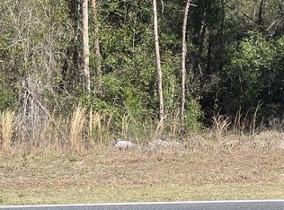 Bay Rd LOT 5, Ocklawaha, FL 32179