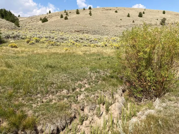 2647 Middle Fork Little Sheep Crk, Lima, MT 59739