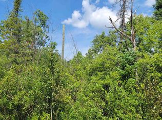 15225 Lakeview Dr LOT 259, Wolverine, MI 49799