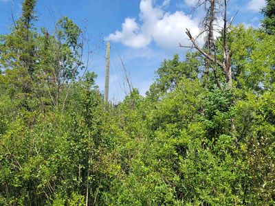 15225 Lakeview Dr Lot 259, Wolverine, MI, 49799