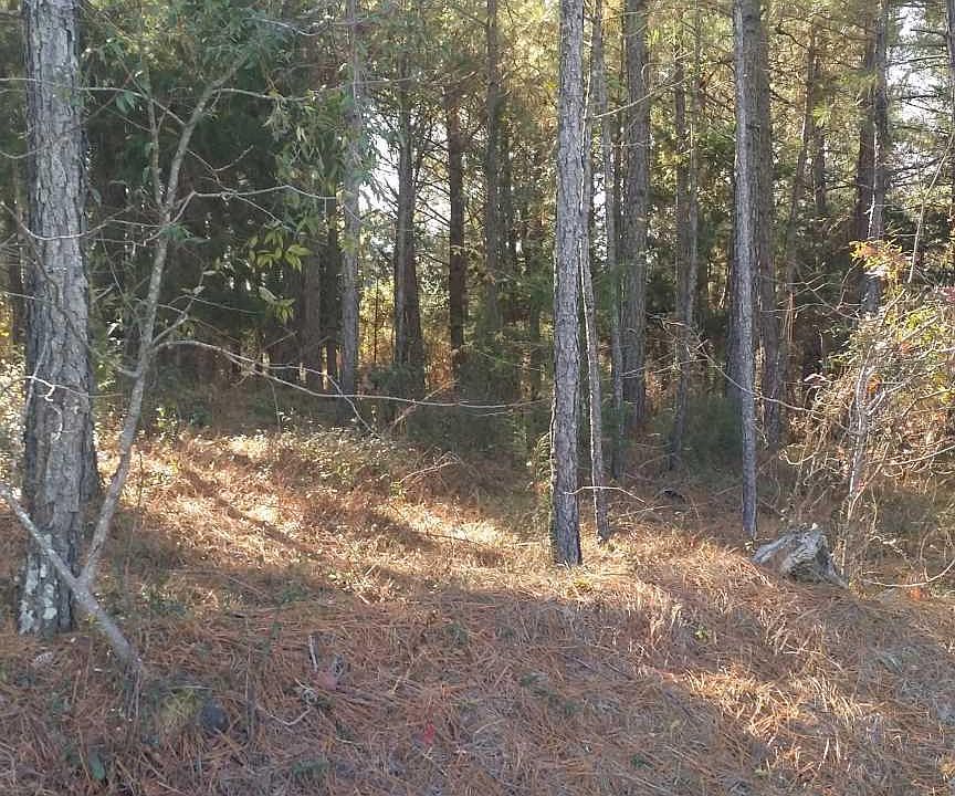 2nd image of 403 Cedar Ridge Ln