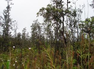 Road 4, Mountain View, HI 96771