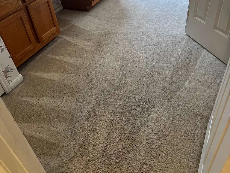 1523 Park Harbor Estates Dr — Photo 19