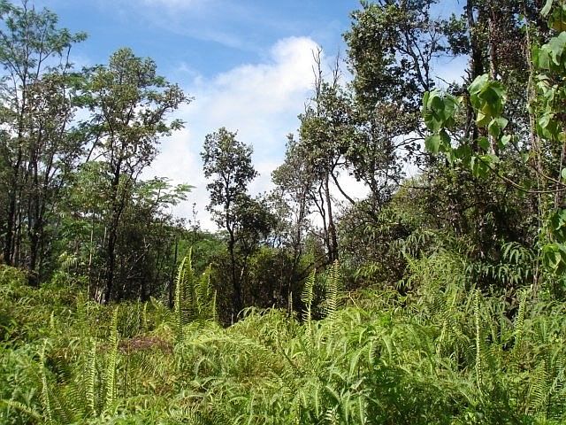 2nd image of Kaloli Dr Lot 1736