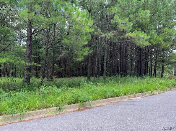 43 Crimson Ridge Cir, Brookwood, AL 35444