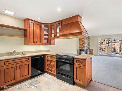 205 E Durant Ave APT 1F, Aspen, CO, 81611