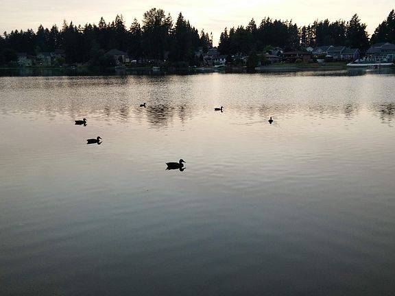 4th image of 34629 46th Ave S