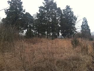 1st image of 0 Shanky Hill Ln