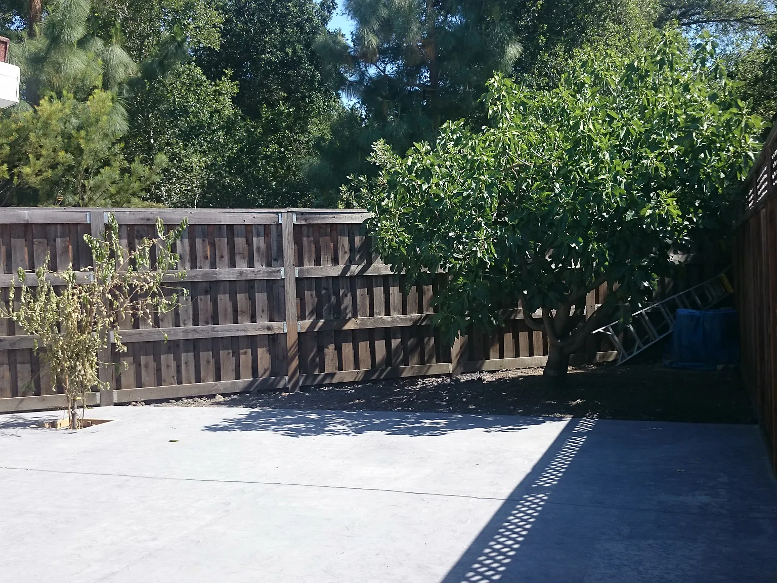 Calle Nogales In Law, Walnut Creek — Photo 2