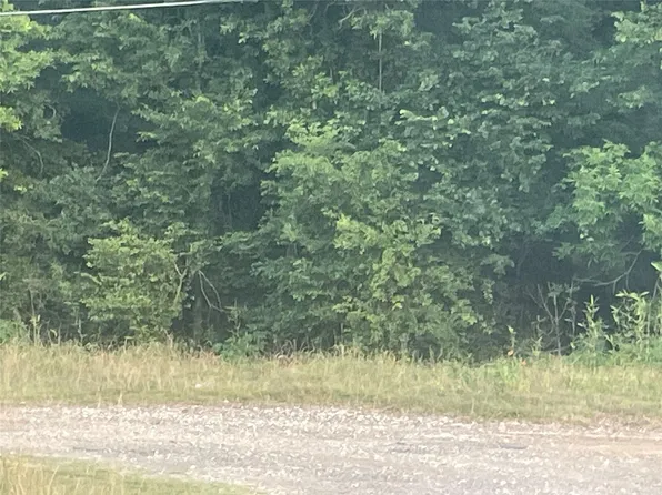 0 Chinquapin Ln, New Caney, TX 77357