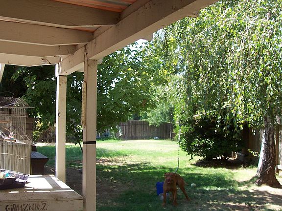 Backyard with patio