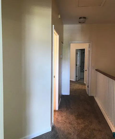 1914 Vista Cove Rd — Photo 16