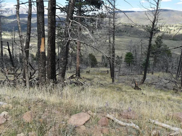 Soubry Pl LOT 495, Fort Garland, CO 81133