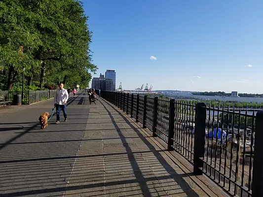 Rented by Bond New York | media 2