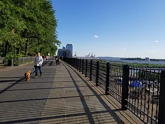 Rented by Bond New York