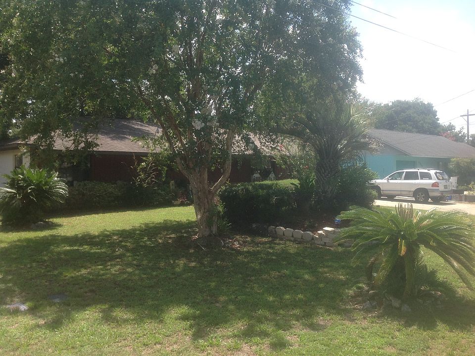 Nice shade trees 