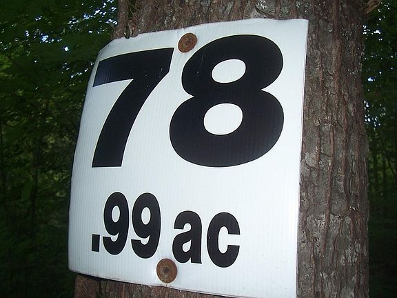 3rd image of 78 Muscadine Ct Lot 78