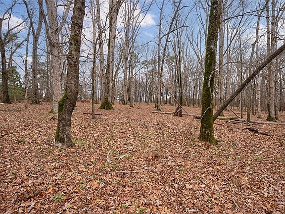 2nd image of Tract 3 High Shoals Road