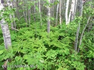 Oman Rd NE, Bemidji, MN 56601