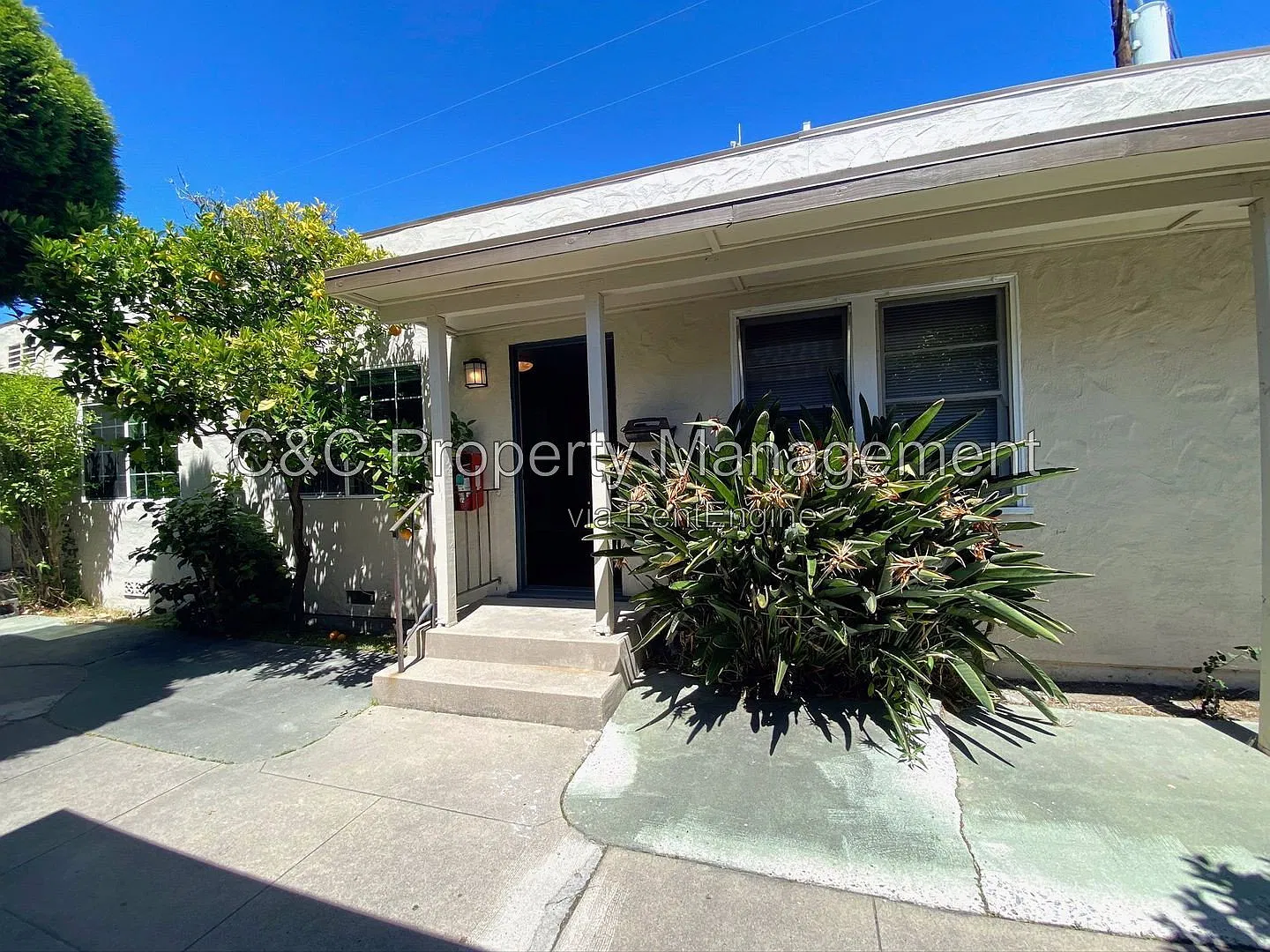 1 bed, 1.0 bath, 650 sqft, $2,650 — Photo 2