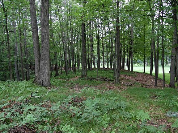 4th image of 10086 Saint Ives Dr #1