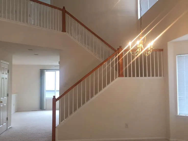 923 Grays Peak Dr — Photo 15