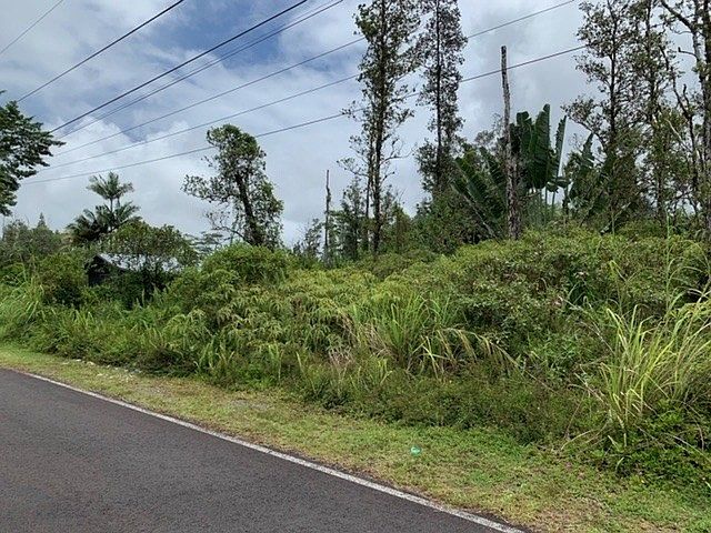 2nd image of Tree Fern Dr Lot 83