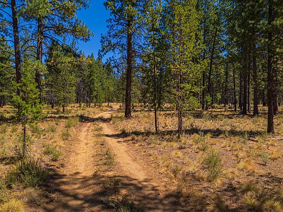 4th image of 56343 Mirror Rock Loop Lot 333