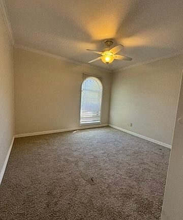 3rd image of 6403 Chinaberry Trl #3