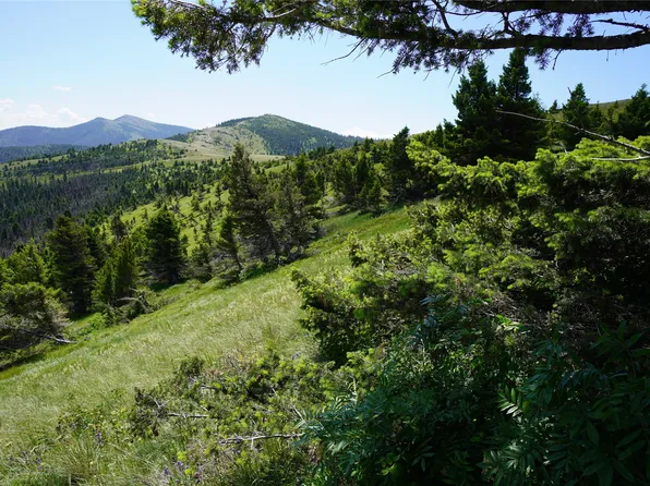 Nhn Divide Dr, Wolf Creek, MT 59648