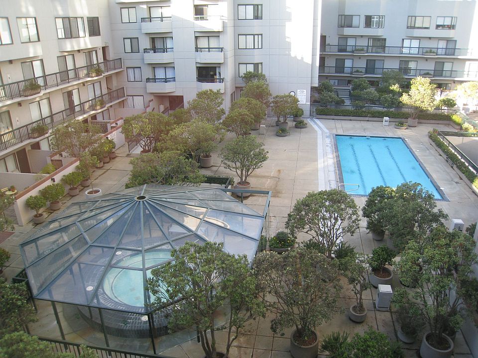 A View from the Patio