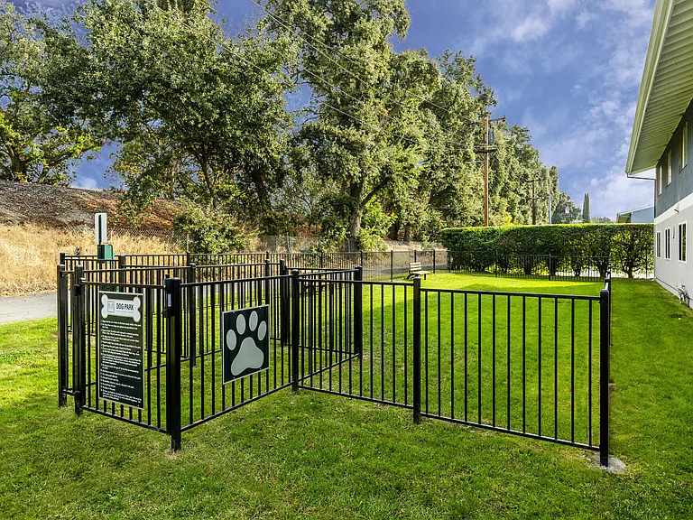 Grass Area