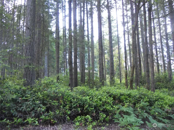 11315 Oro Place, Anderson Island, WA 98303