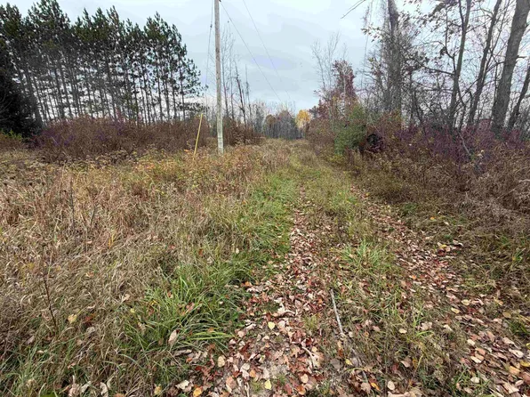 2979 W Huckleberry Rd, Sanford, MI 48657
