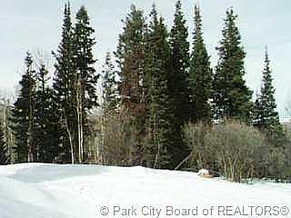 2nd image of 2445 White Pine Canyons Rd #7