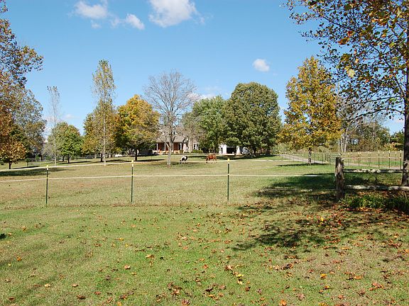 View through front pasture