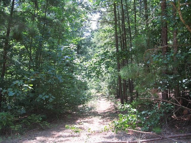 2nd image of Pine Lake Dr